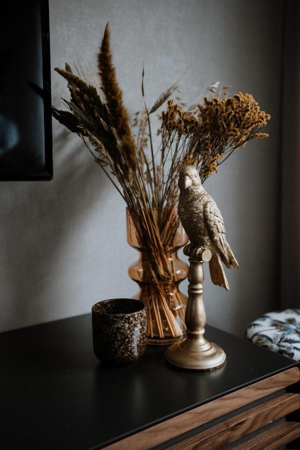 Duinstraatje 15 Apartment เซาเตอลองเดอ ภายนอก รูปภาพ